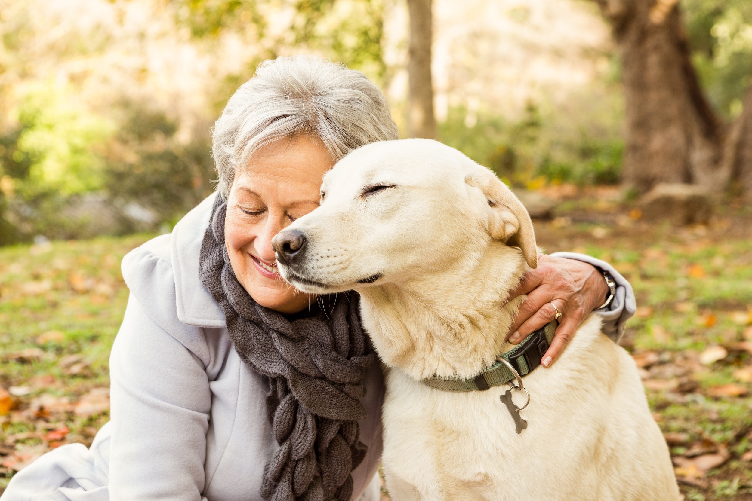 Caring For Senior Dogs: Expert Guidance